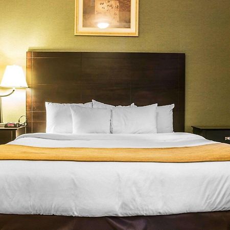 Comfort Inn Whitehall Near Michigan'S Adventure Экстерьер фото