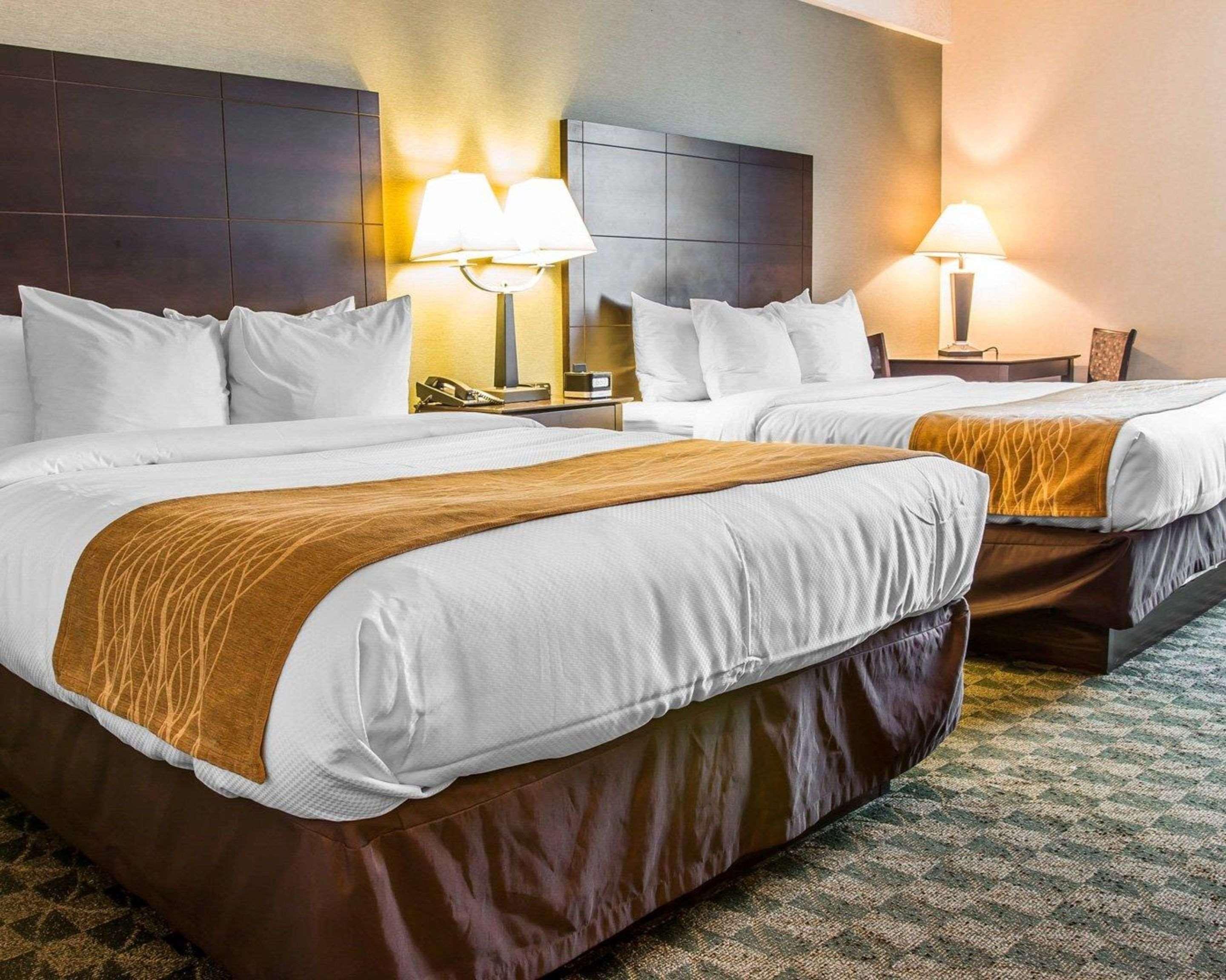 Comfort Inn Whitehall Near Michigan'S Adventure Экстерьер фото
